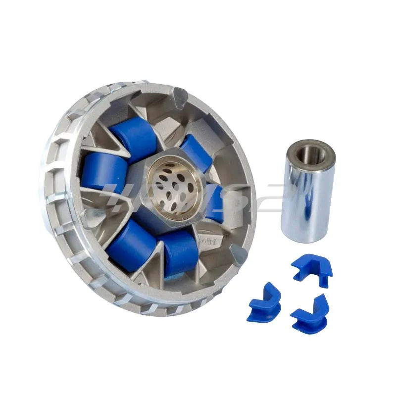 Variatore sym joymax-rv-gts 250 (Polini), ricambio 241657