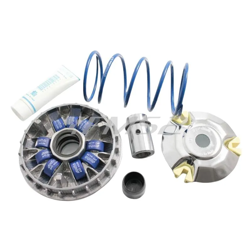 Variatore Piaggio 200-250-300 9 rulli (Polini), ricambio 241665