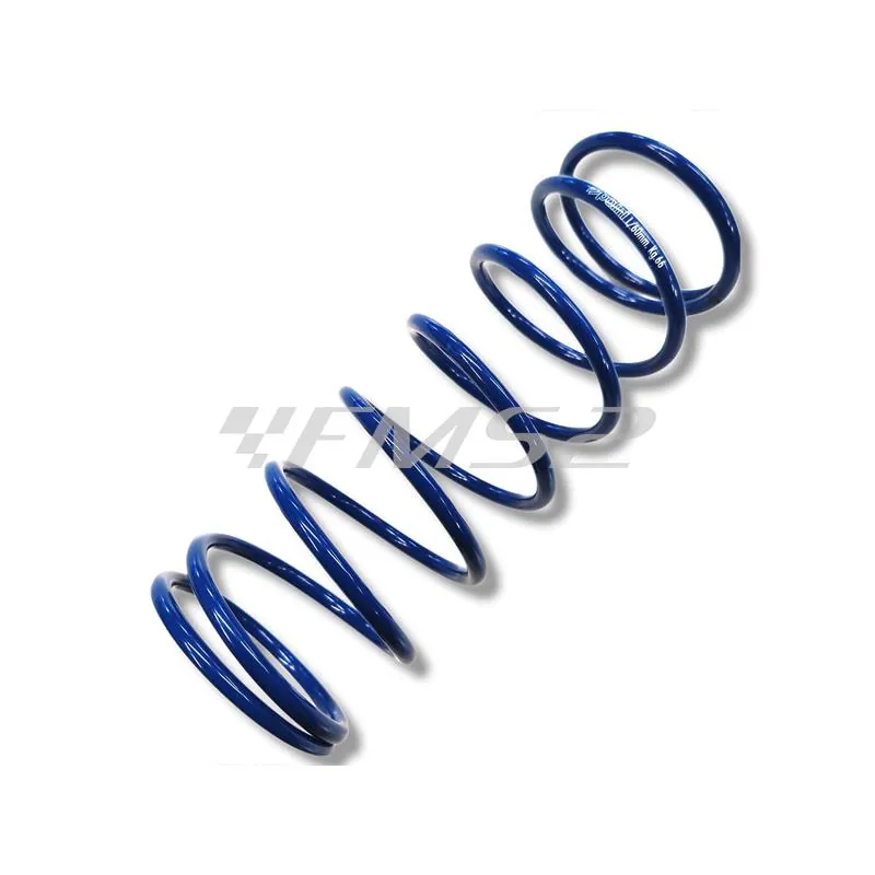 241.703 Variatore Polini hi-speed 6 rulli specifico per maxi scooter Kymco DownTown 300 4V SK60A, BF40-60 e Kawasaki J300