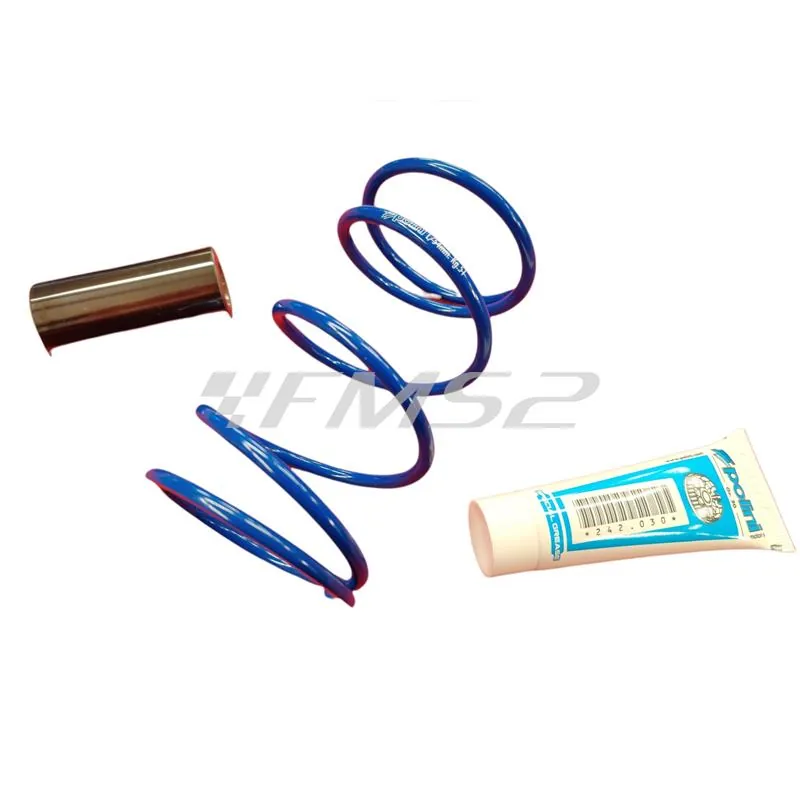 241.742 Variatore Polini hi-speed per maxi scooter Sym Joymax e Cruisym 250 e 300 cc 4 tempi