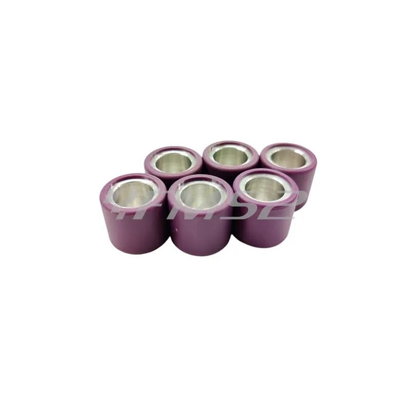 Rulli 19x17 g. 6.0 oz.0.204 (Polini), ricambio 242094