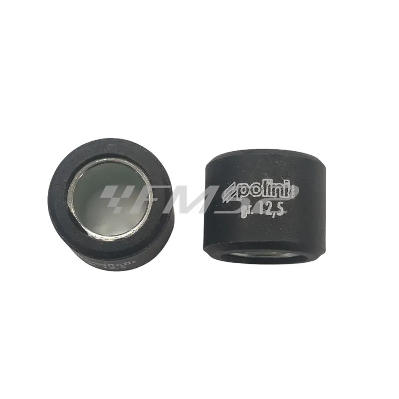 242.343 Kit 6 rulli Polini per variatore maxi scooter con diametro 20,9 x 17 mm e peso 12,5 grammi
