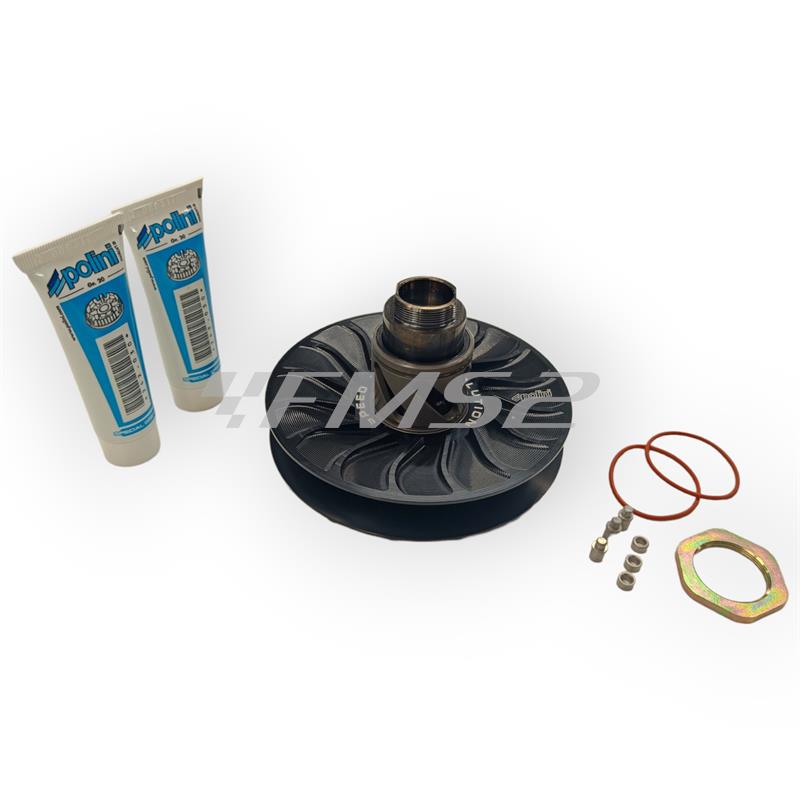 Kit puleggia cond.piaggio evol.pre, ricambio 2440584