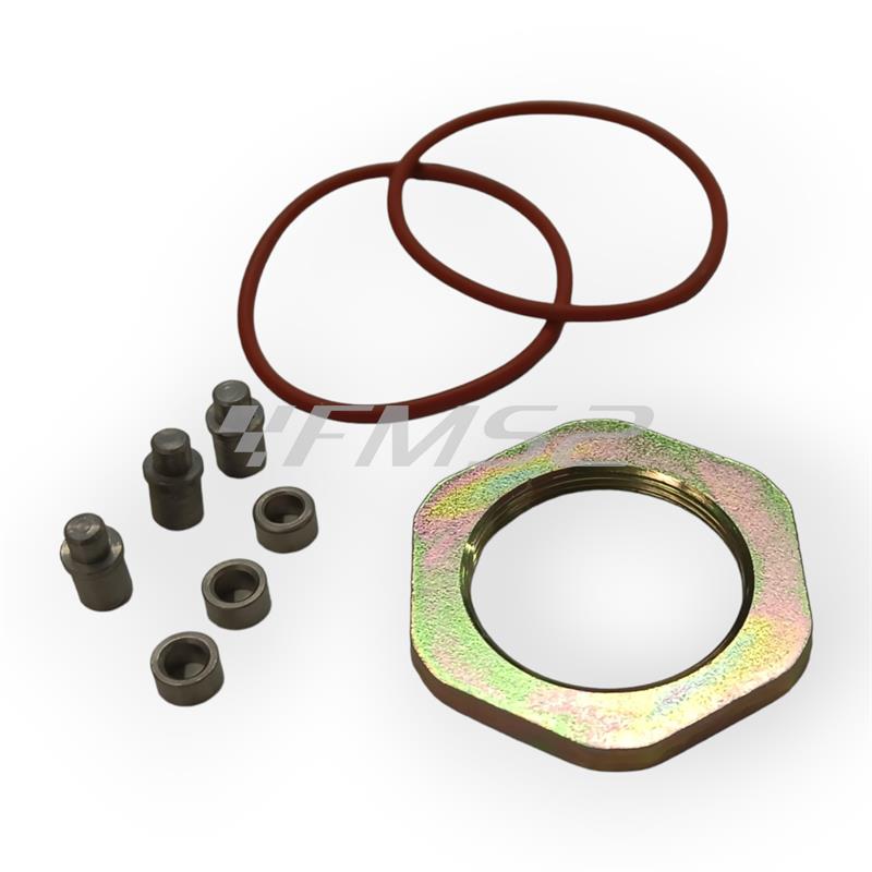 Kit puleggia cond.piaggio evol.pre, ricambio 2440584