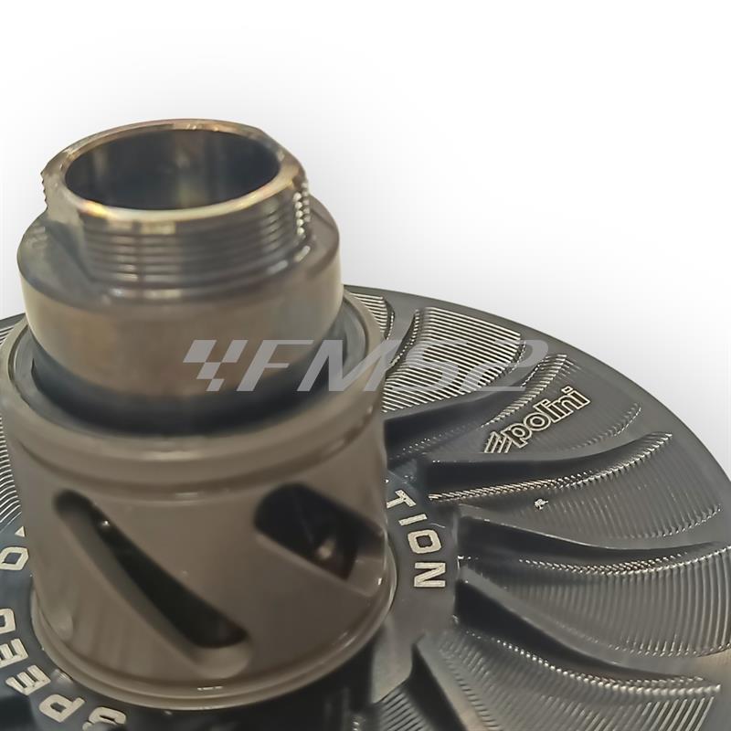 Kit puleggia cond.piaggio evol.pre, ricambio 2440584