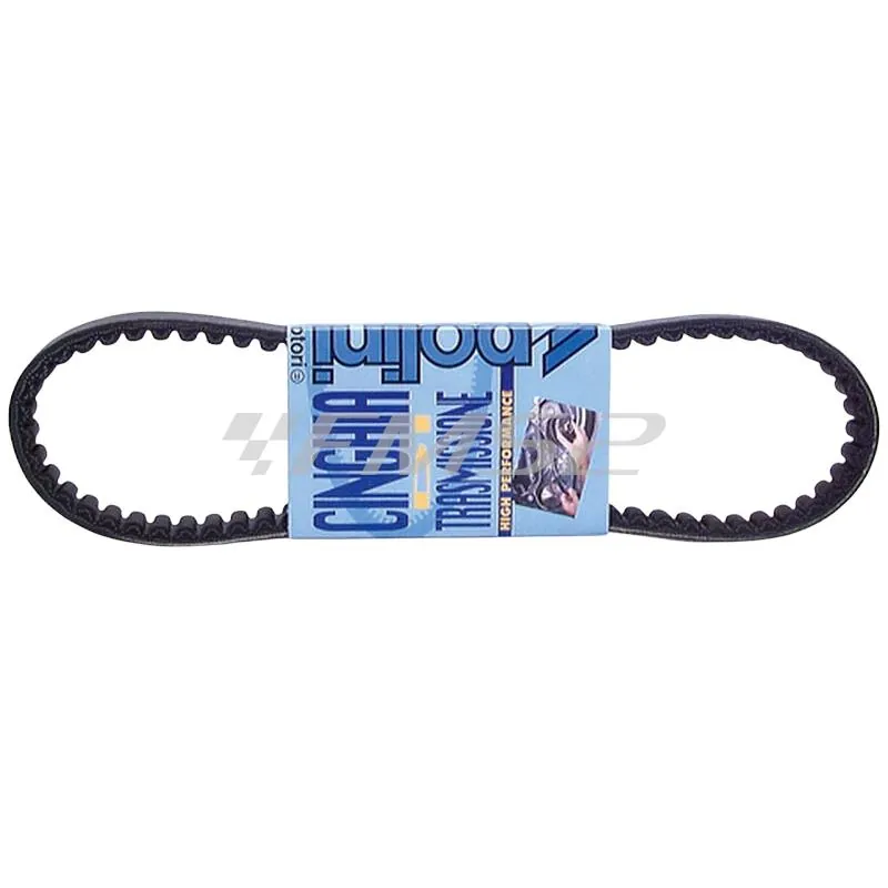 Cinghia di trasmissione Polini, ricambio 2480111