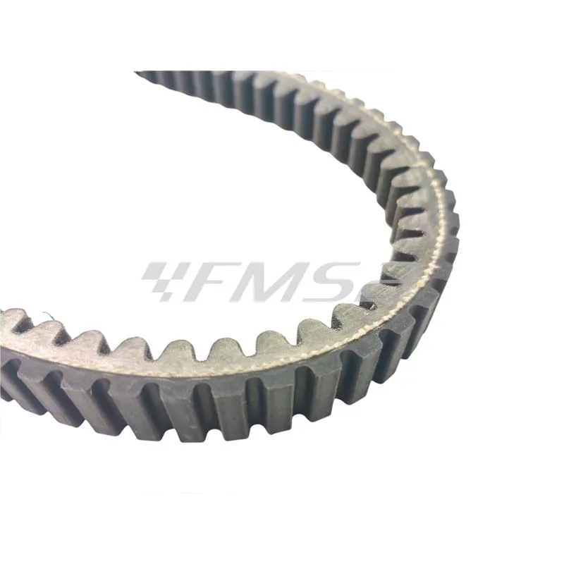 248.069 Cinghia di trasmissione Polini per variatore Maxi scooter Piaggio Vespa 250 e 300 cc