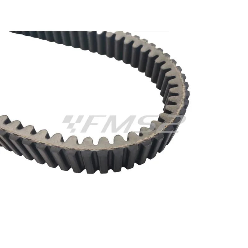 248.103 Cinghia di trasmissione Polini in Aramid per variatore maxi scooter Yamaha T-Max 500 cc