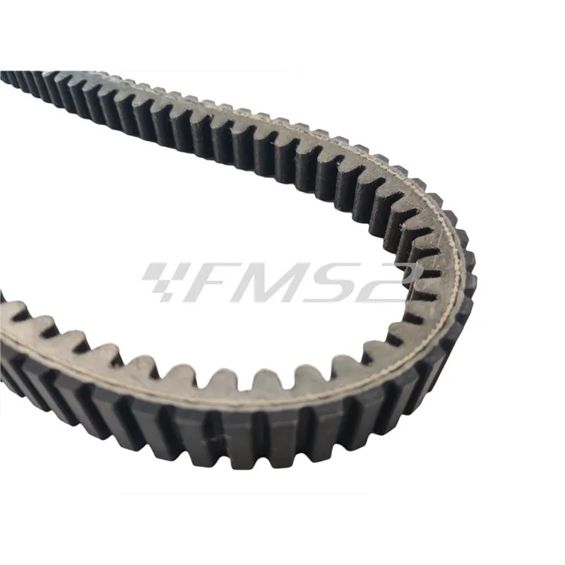 248.114 Cinghia di trasmissione Polini in Aramid per variatore maxi scooter Kymco Downtown 300 cc