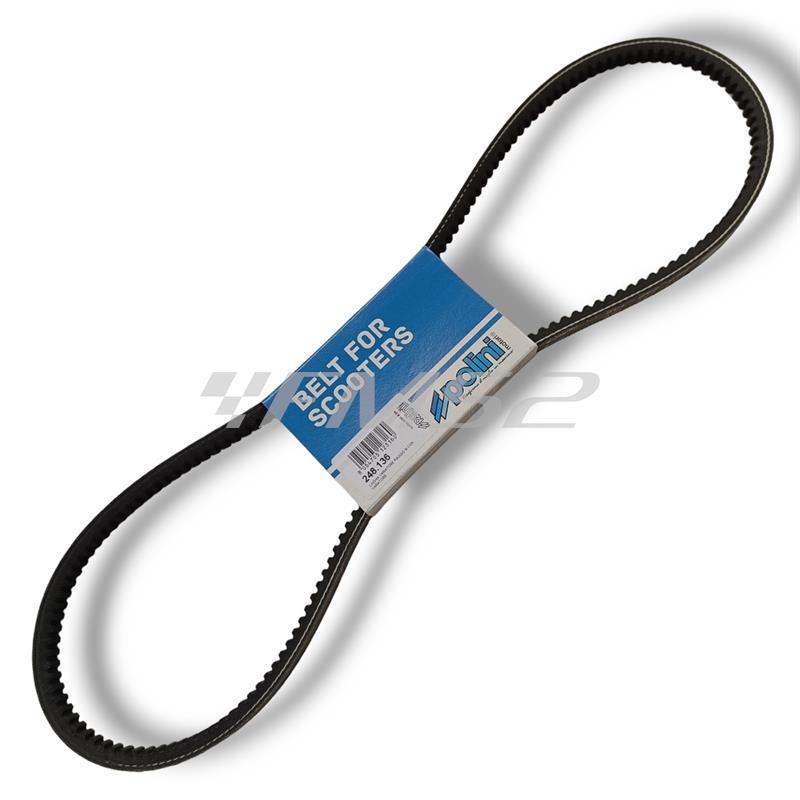Cinghia variatore dentata Polini per ciclomotori Piaggio si con variatore, ricambio 248136