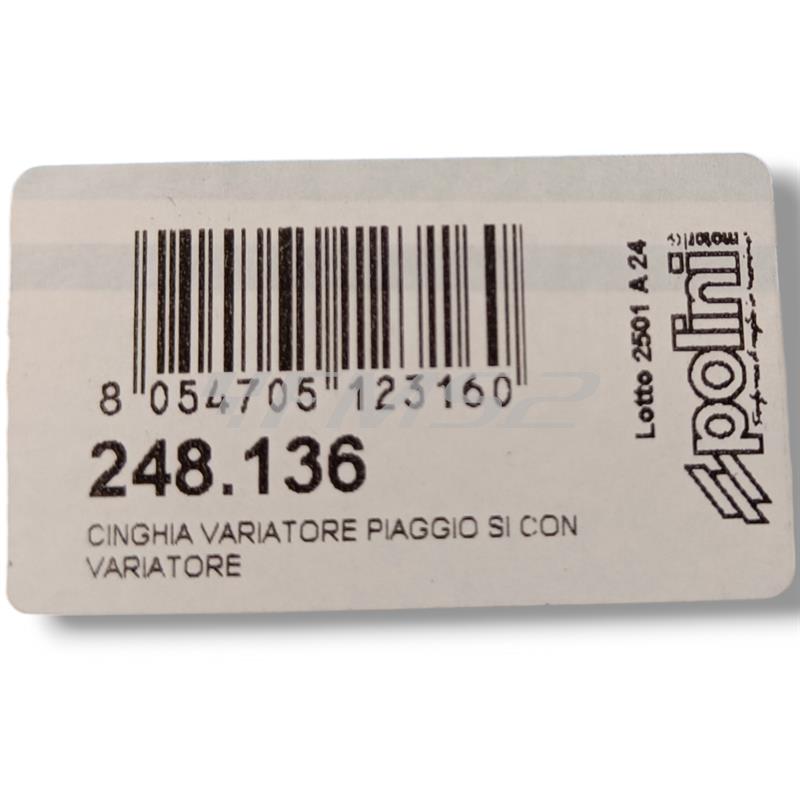 Cinghia variatore dentata Polini per ciclomotori Piaggio si con variatore, ricambio 248136