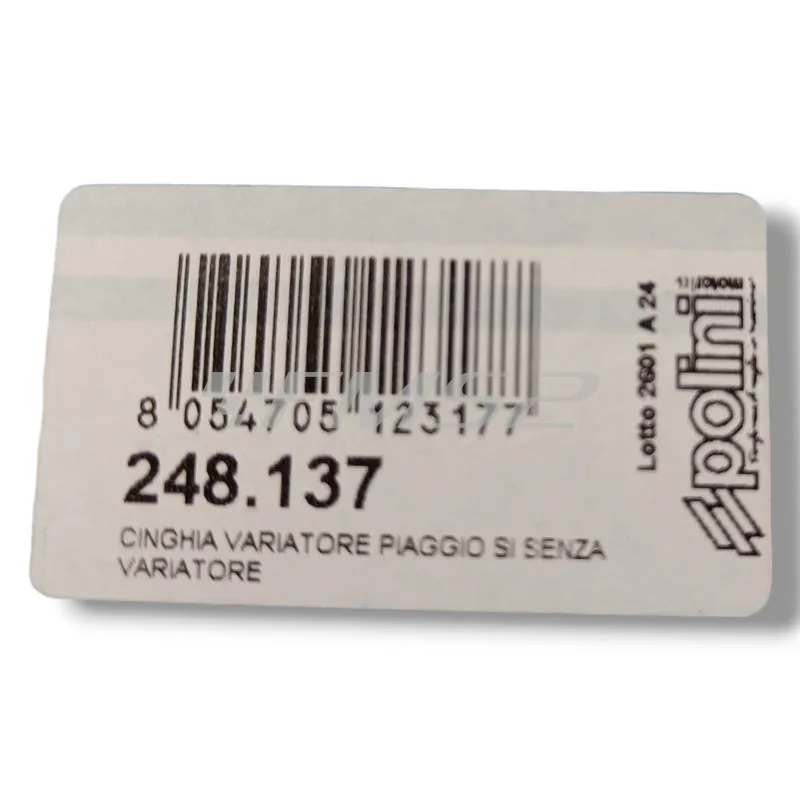 248.137 Cinghia Trasmissione dentata Polini per ciclomotori Piaggio si mono marcia senza variatore e puleggia diametro 90 mm originale