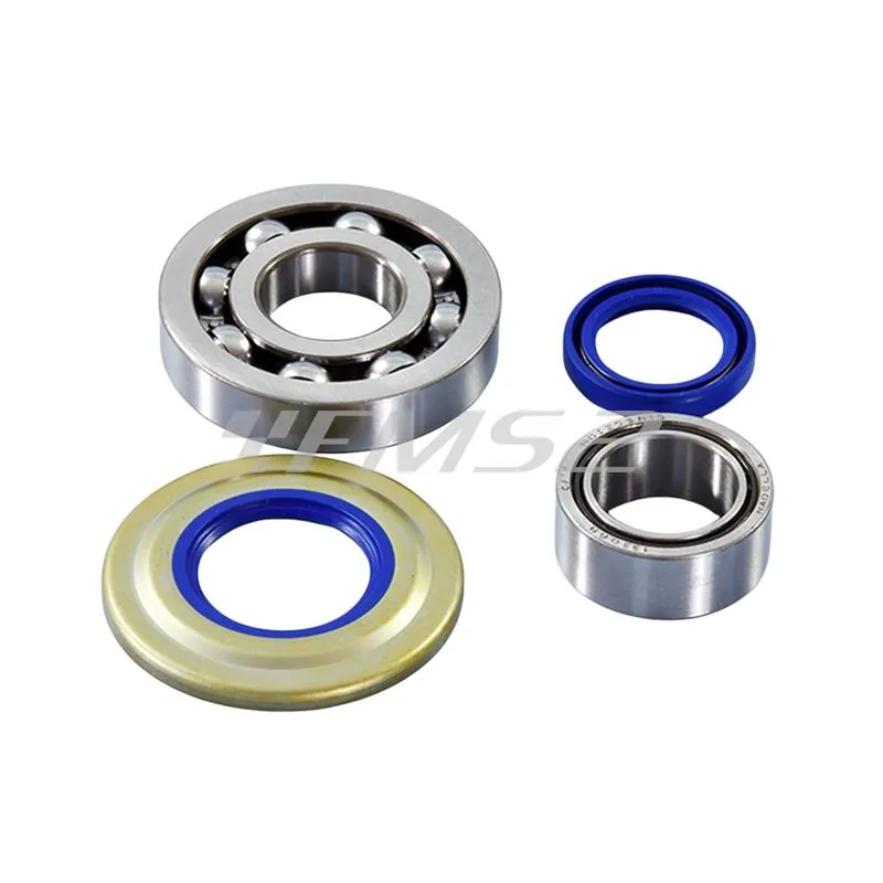 Kit revisione albero motore Polini composto da 2 cuscinetti di banco e 2 paraolio in viton blu per motori Piaggio Vespa PX, PE, Cosa 1 e 2, Sprint Veloce 125, 150 e 200 cc, ricambio 2820007