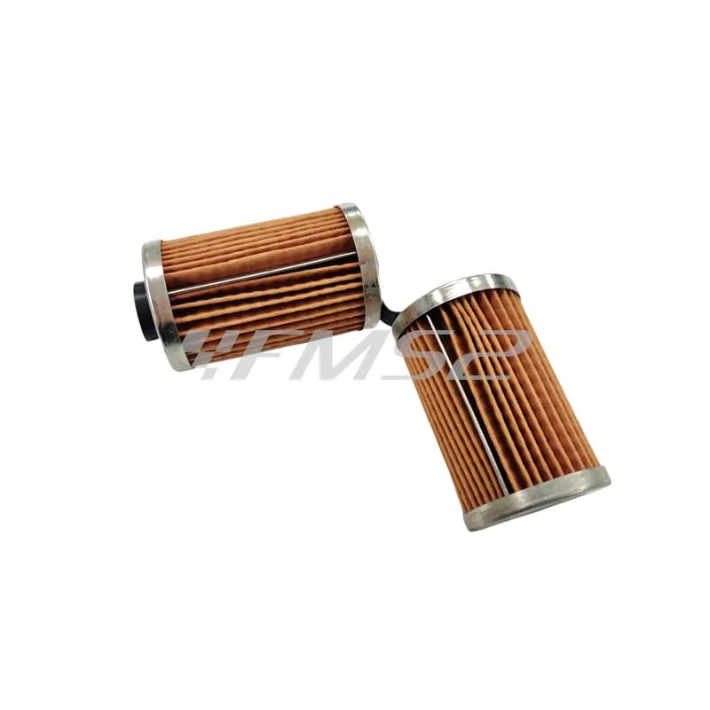 X316 Filtro olio BMW (Polini)
