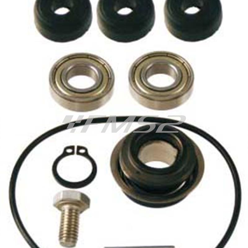 Kit revisione pompa acqua Aprilia d-tech 50, ricambio 100110160