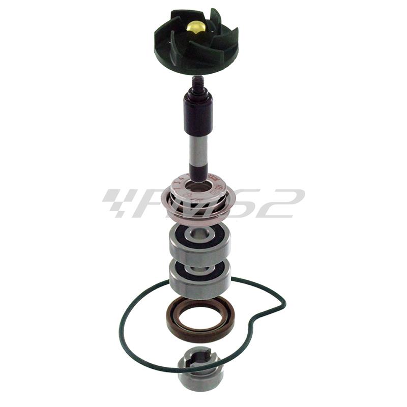 Kit rev p. acqua beverly 300cc, ricambio 100110440