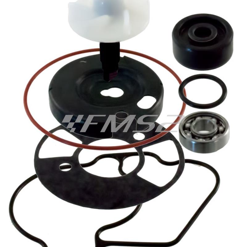Kit rev p acqua xenter 125-150, ricambio 100110540