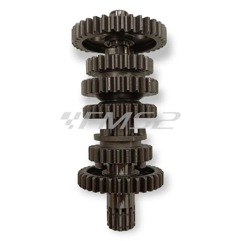 Cambio completo am6, ricambio 100240070