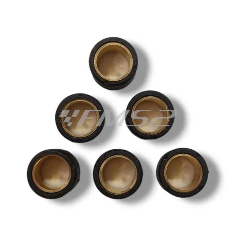 Kit rulli variatore 16 x 13 6 pz 5.0 gr, ricambio 100420500