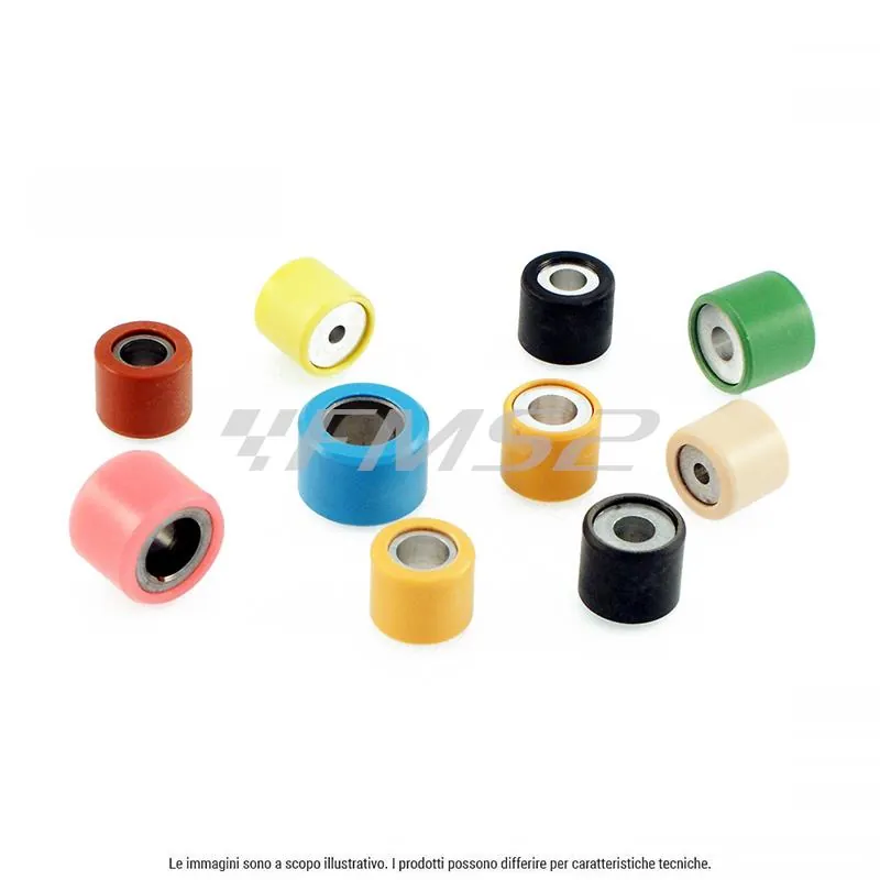 Kit rulli variatore 19 x 15.5 6 pz 6.5 gr, ricambio 100450650