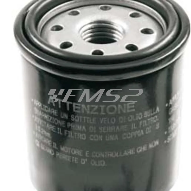 Filtro olio motore scooter targato, ricambio 100609040