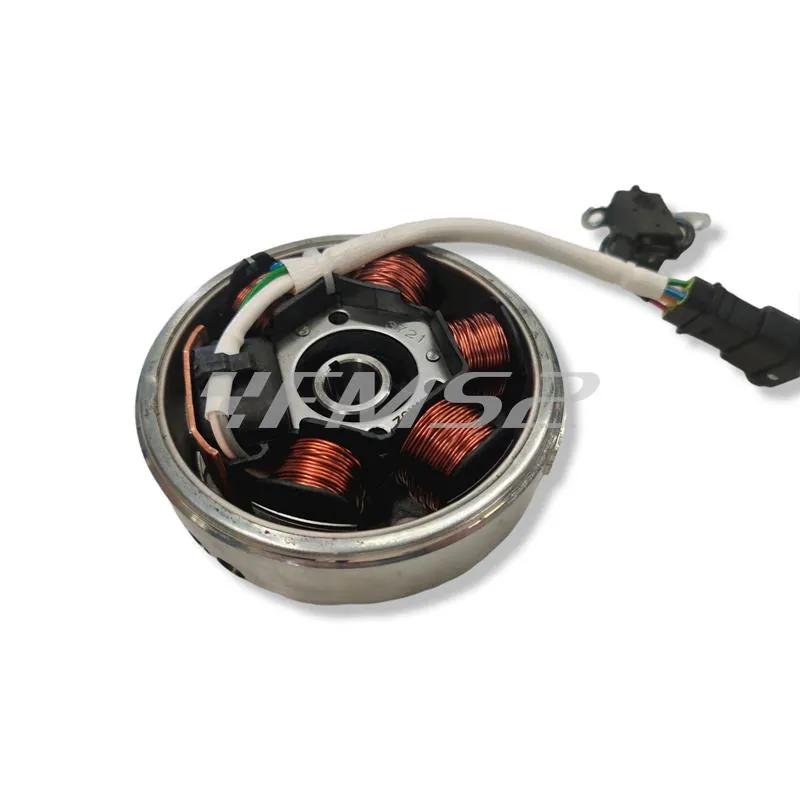 Volano compl. aprilia/piagg 50, ricambio 246360072