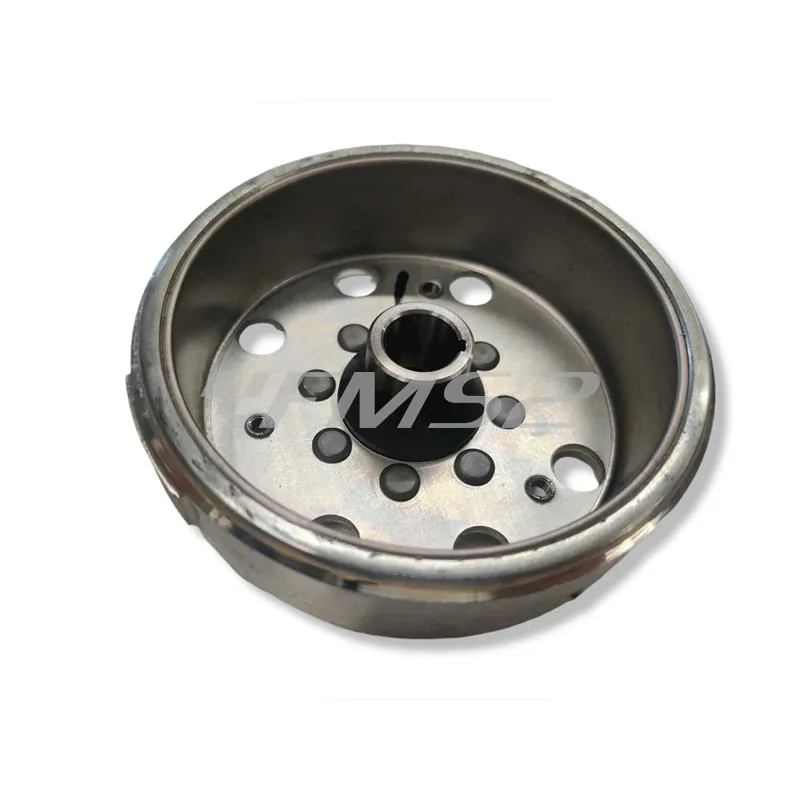 Volano compl. aprilia/piagg 50, ricambio 246360072