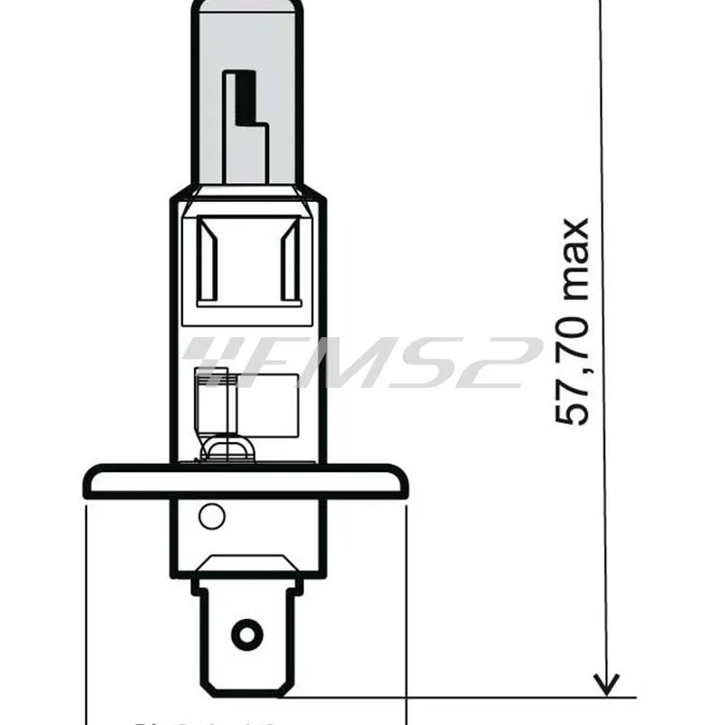 Lampadina RMS 12 Volt 55 Watt H1, effetto xenon omologata, ricambio 246510030