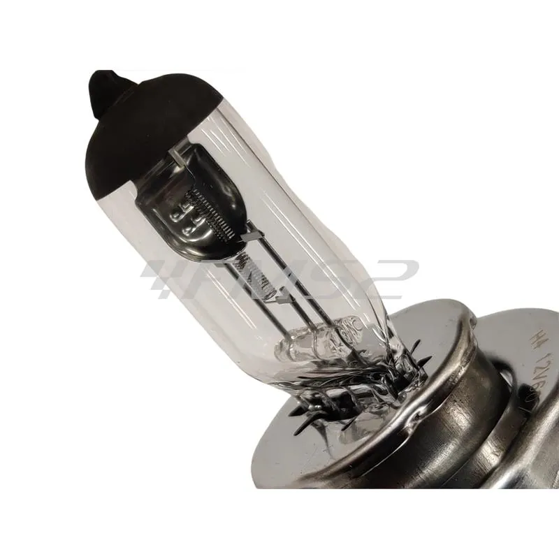 Lampadina RMS alogena, 12 Volt 60 55W H4 omologata, con vetro bianco, ricambio 246510055