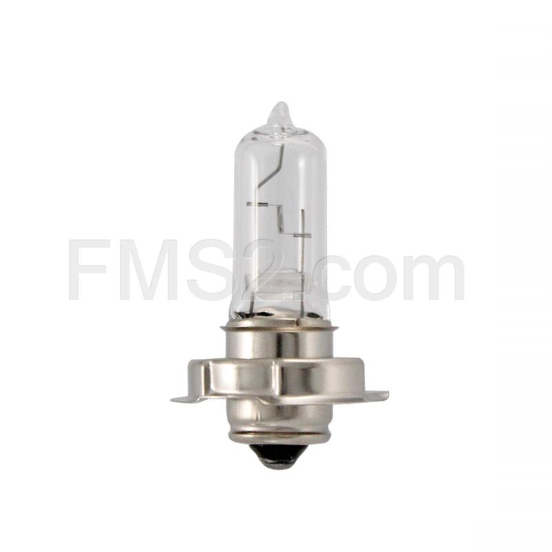 Lampadina RMS 12 Volt 20 Watt P26S, alogena vetro trasparente bianco, ricambio 246510435