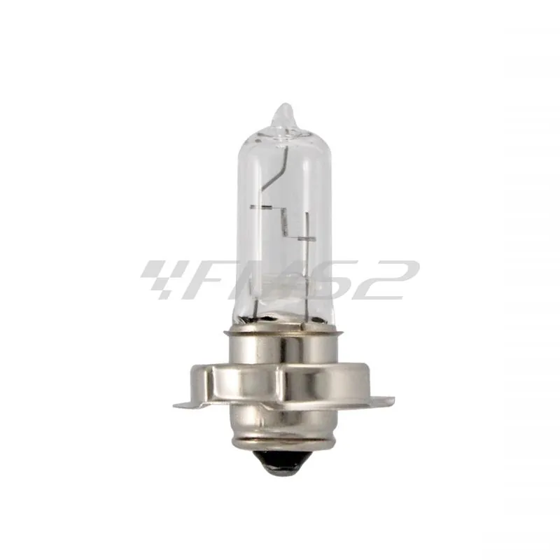 Lampadina RMS 12 Volt 20 Watt P26S, alogena vetro trasparente bianco, ricambio 246510435