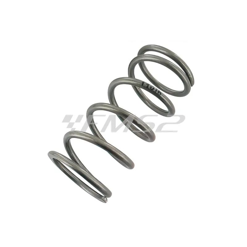 S6146140ET06 Molla amm.stage6 r/t ant.zip sp 110 lb