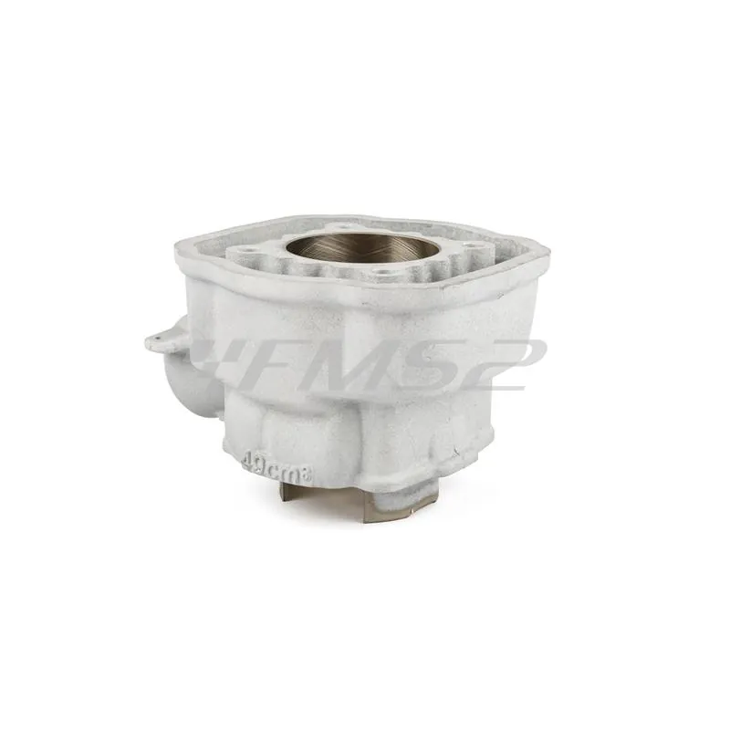 Maxi kit stage6 88 cc Big Racing corsa 45 mm per motori Minarelli AM6 completo di albero, gruppo termico e cuscinetti banco e paraolio banco, ricambio S67018820PACK