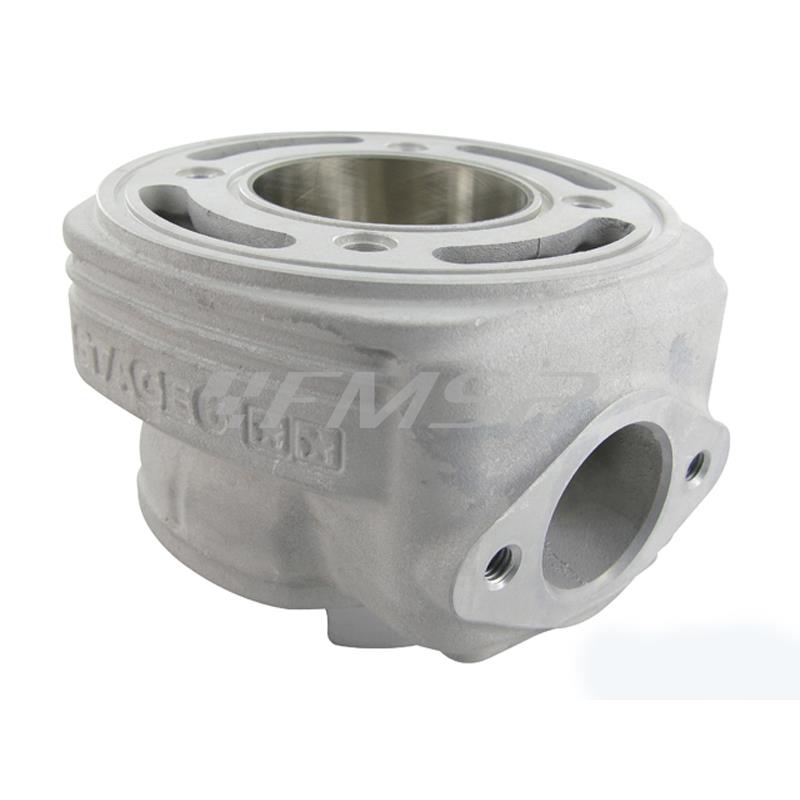 Motore gruppo termico Stage6 Racing mkii 70cc per scooter con motore Piaggio Gilera liquido con braccio lungo e corto e spinotto da 12mm, ricambio S67414004