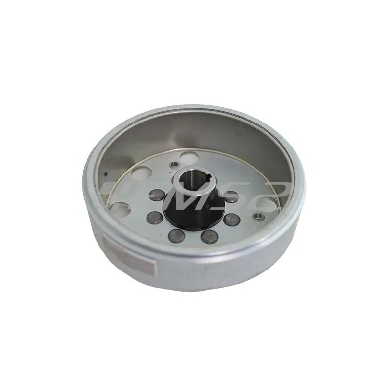 Rotore Piaggio scooter 50 2t, ricambio 168421