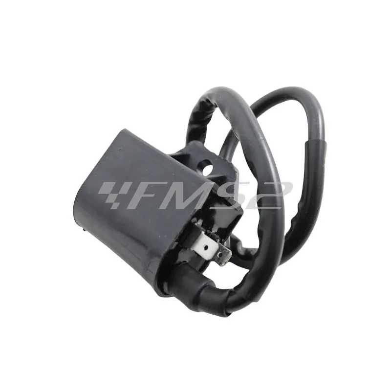 Bobina centralina CDI completa di cavo per scooter 50 con motore Franco morini, ricambio 173404