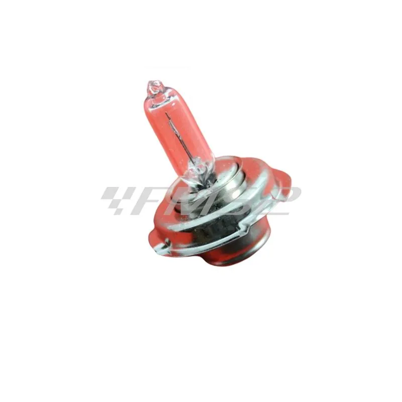 Lampadina SGR 12 Volt 20 Watt P26S alogena, ricambio 201678