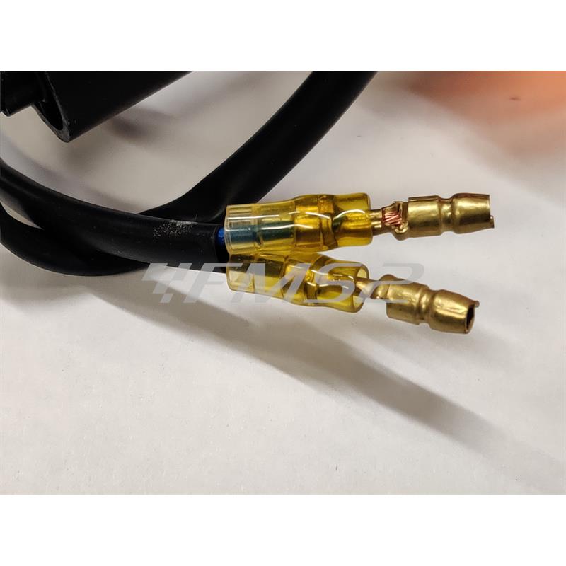 Ecie fanale dir.ant.dx nero aprilia rs, ricambio 219844