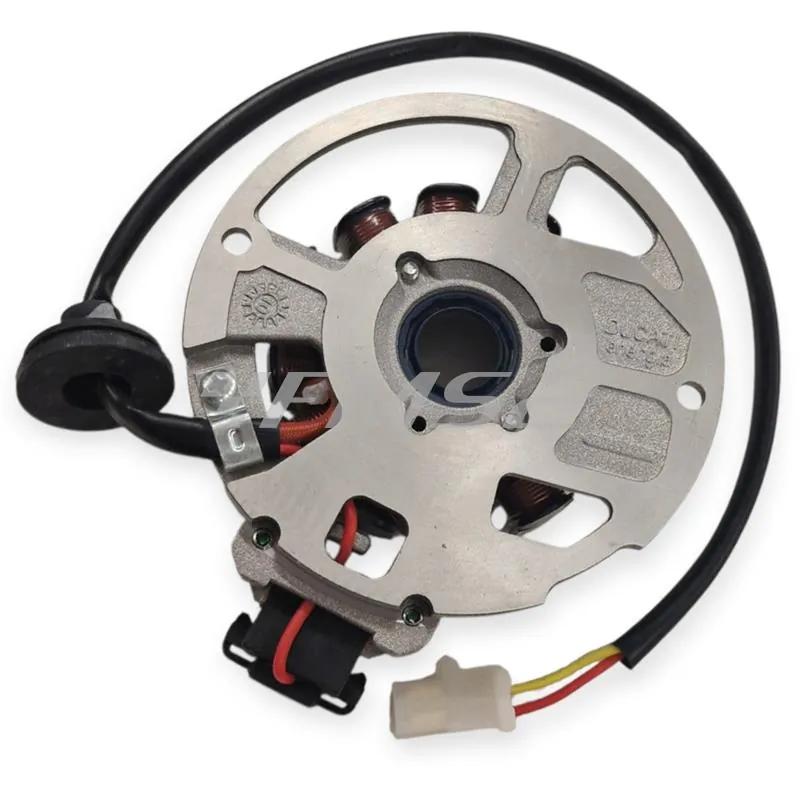31142012 Statore 12 poli Ducati Energia per scooter Malaguti 50 Euro2/2.3 dal 2002 - Originale