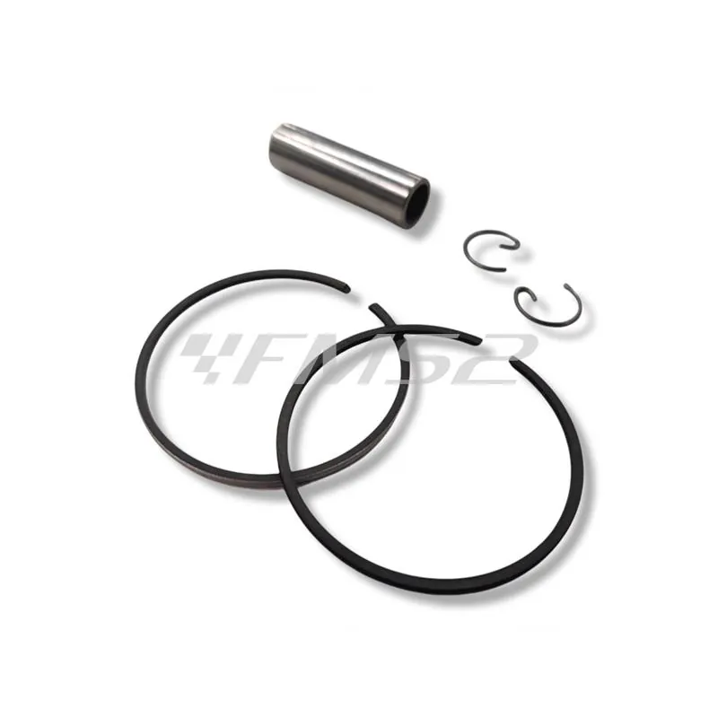 9907401 Pistone completo diametro 48,5 Sfera Zip