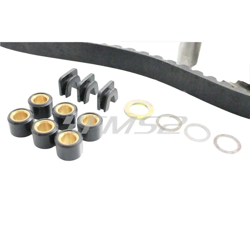 Variatore top performance con cinghiolo, ricambio 9910780