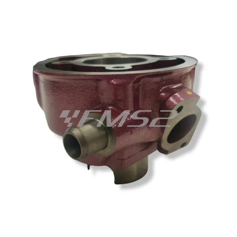 Motore gruppo termico Racing Due Plus in ghisa con testa monopezzo raffreddamento a liquido, ricambio 9912800