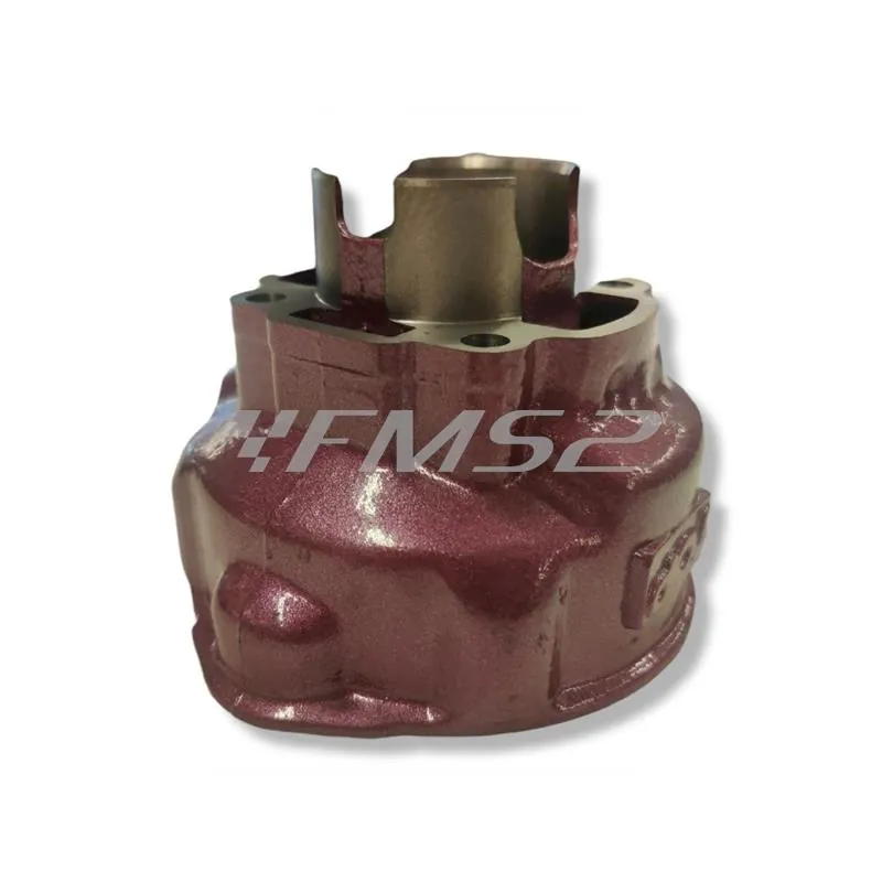 Motore gruppo termico Racing Due Plus in ghisa con testa monopezzo raffreddamento a liquido, ricambio 9912800