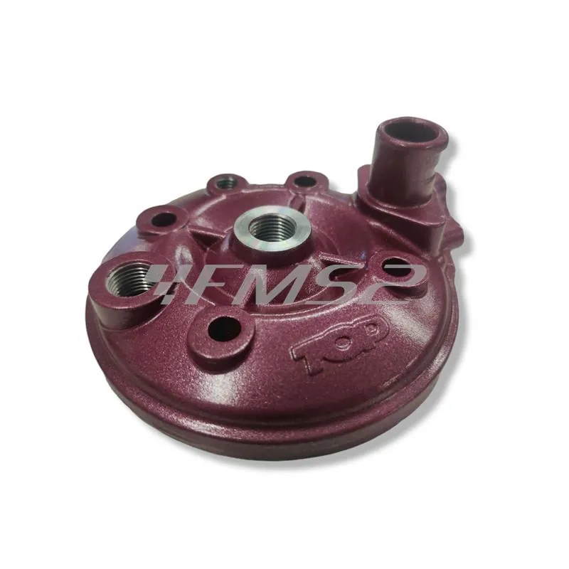 Motore gruppo termico Racing Due Plus in ghisa con testa monopezzo raffreddamento a liquido, ricambio 9912800