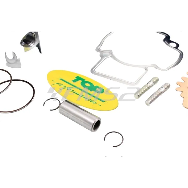 Motore gruppo termico top performance trophy diametro 40 mm (cilindrata 50 cc), ricambio 9914500