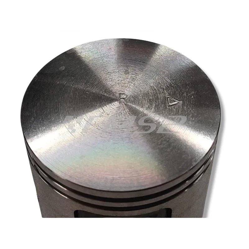 9915030 Pistone completo d.47 h2o peugeot