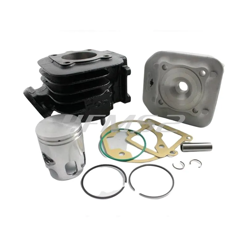 Motore gruppo termico top performance trophy diametro 40 mm (cilindrata 50 cc), ricambio 9915850