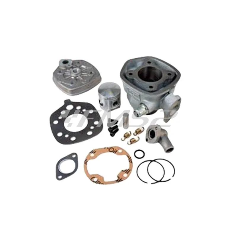 Motore gruppo termico top performance trophy diametro 47 mm (cilindrata 70 cc), ricambio 9917410