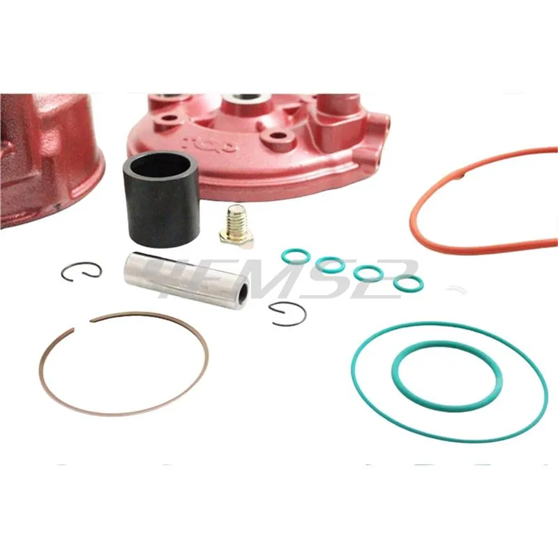 Motore gruppo termico Top Racing per am345-6, ricambio 9919240