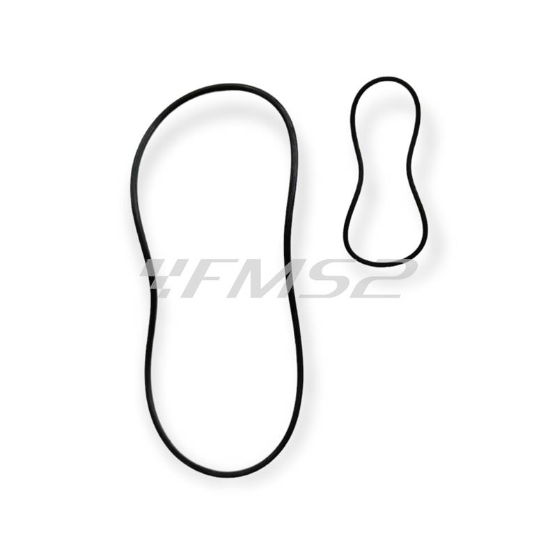 Guarnizioni peugeot h2o speedfight c/testa, ricambio 9920210